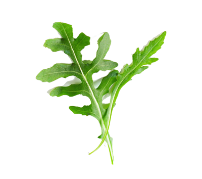 arugula