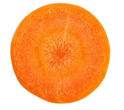 carrot