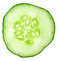 cucumber