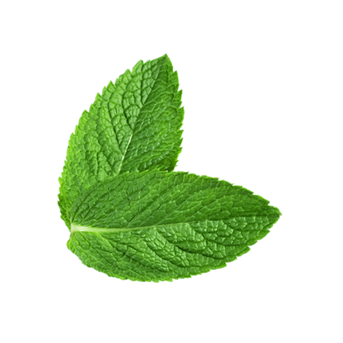 mint