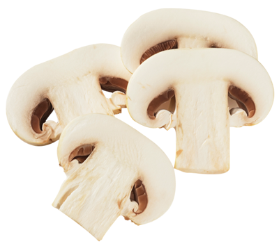 mushroom
