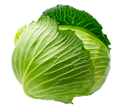 cabbage-img